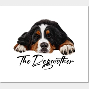 Bernese mountain dog Posters and Art